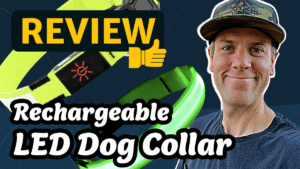 LED Dog Collar Review: Rechargeable, Keep Your Pup Safe and Visible at Night